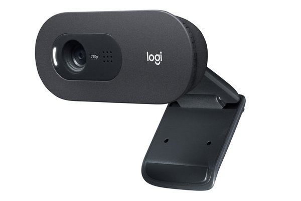 Logitech C505 - Webcam - couleur - 720p - Focale fixe - audio - USB